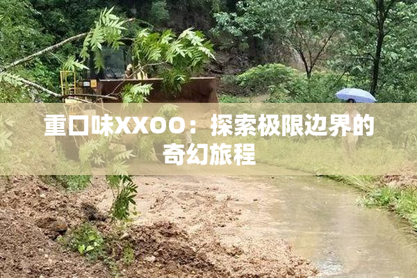 重口味XXOO：探索极限边界的奇幻旅程