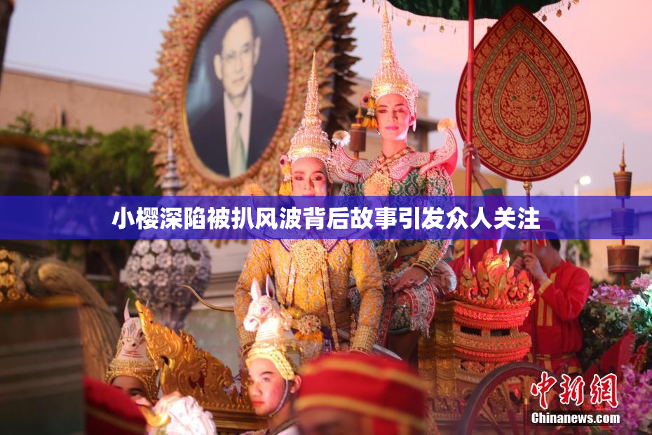 小樱深陷被扒风波背后故事引发众人关注
