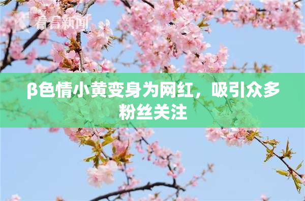 β色情小黄变身为网红，吸引众多粉丝关注