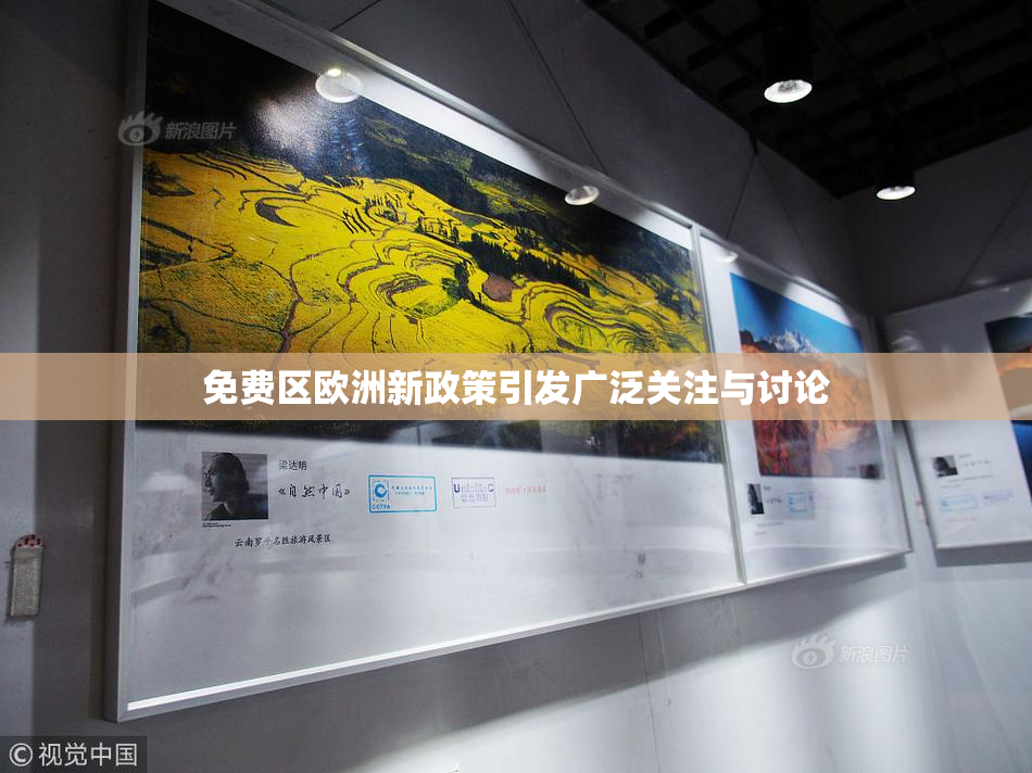 免费区欧洲新政策引发广泛关注与讨论