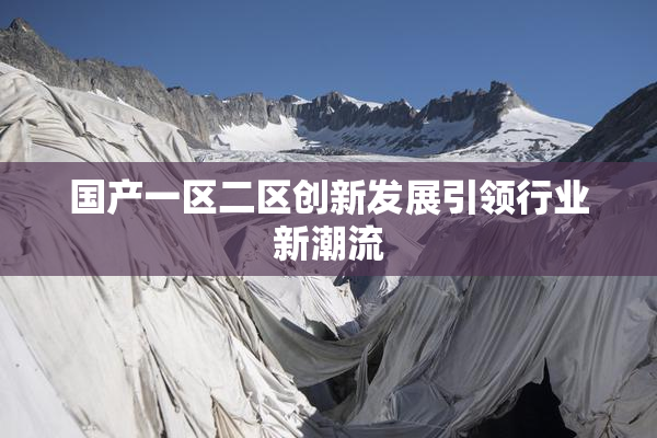 国产一区二区创新发展引领行业新潮流