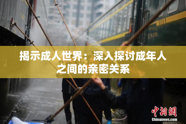 揭示成人世界：深入探讨成年人之间的亲密关系