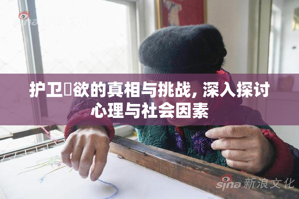护卫婬欲的真相与挑战, 深入探讨心理与社会因素