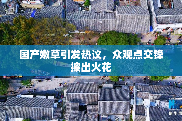 国产嫩草引发热议，众观点交锋擦出火花