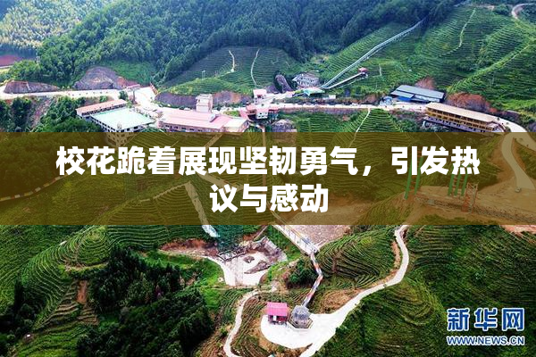 校花跪着展现坚韧勇气，引发热议与感动