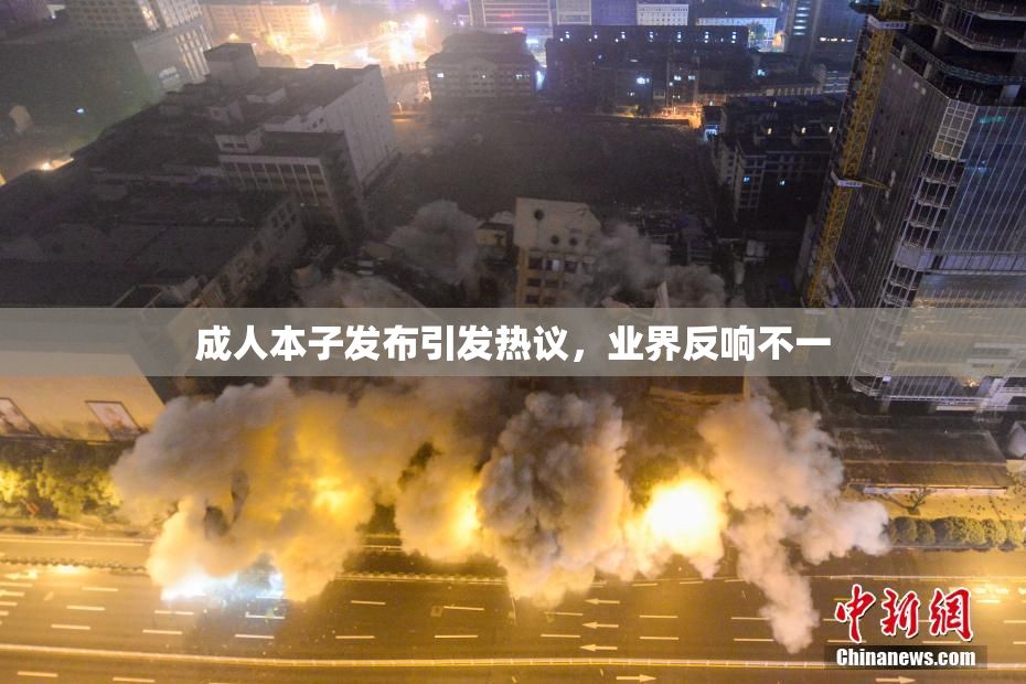 成人本子发布引发热议，业界反响不一