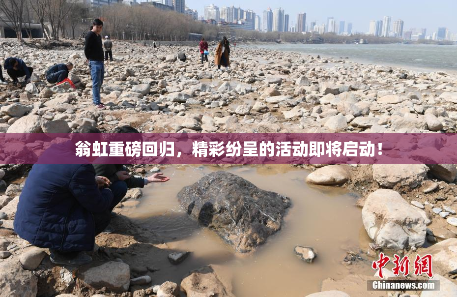 翁虹重磅回归，精彩纷呈的活动即将启动！