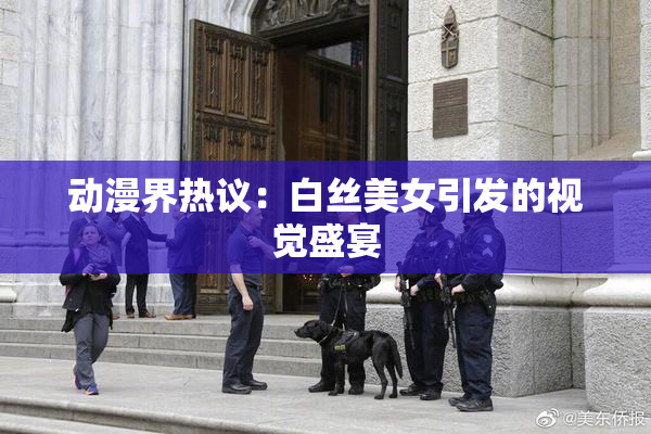 动漫界热议：白丝美女引发的视觉盛宴