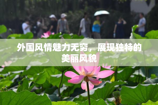 外国风情魅力无穷，展现独特的美丽风貌