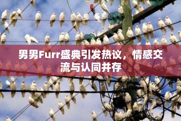 男男Furr盛典引发热议，情感交流与认同并存