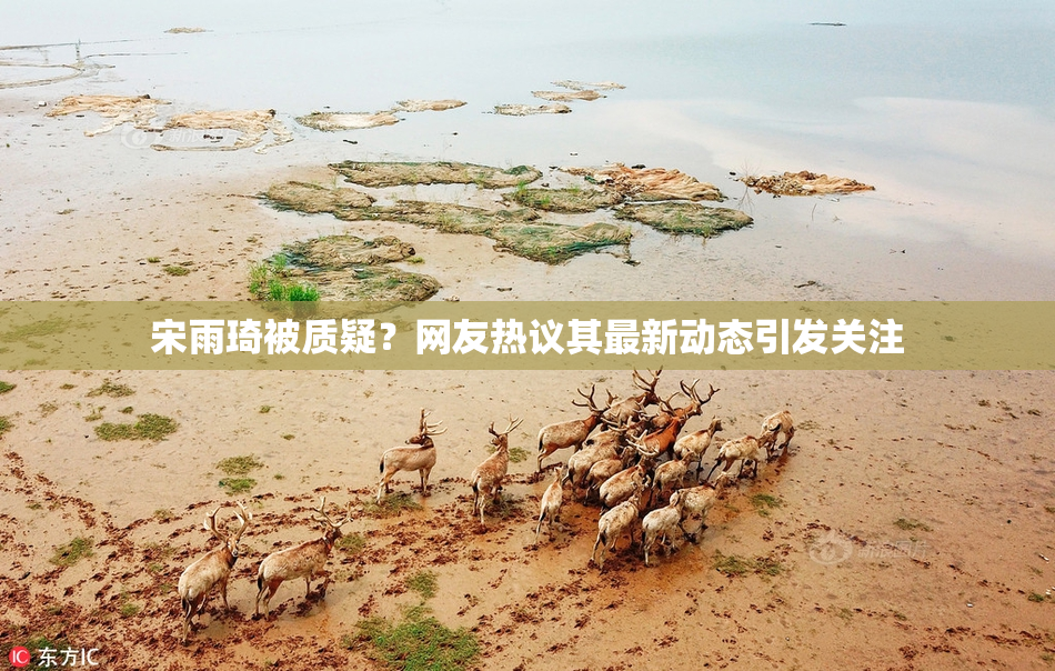 宋雨琦被质疑？网友热议其最新动态引发关注