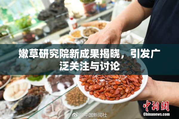 嫩草研究院新成果揭晓，引发广泛关注与讨论