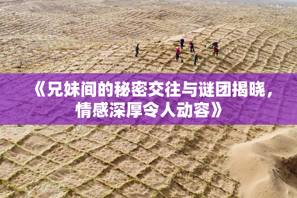 《兄妹间的秘密交往与谜团揭晓，情感深厚令人动容》