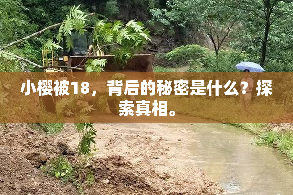 小樱被18，背后的秘密是什么？探索真相。
