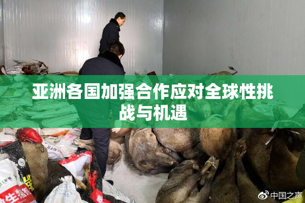 亚洲各国加强合作应对全球性挑战与机遇
