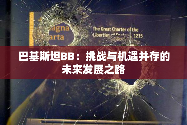 巴基斯坦BB：挑战与机遇并存的未来发展之路