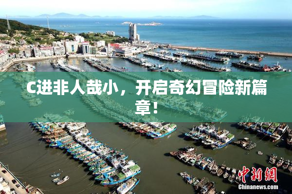 C进非人哉小，开启奇幻冒险新篇章！