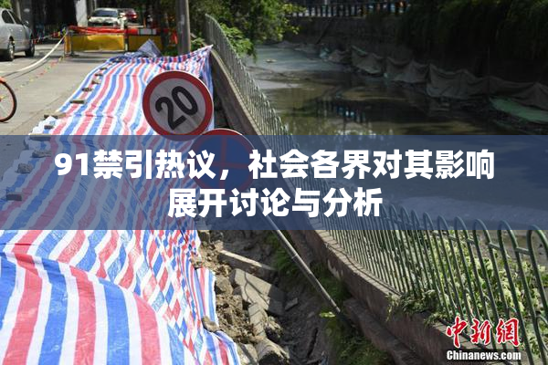 91禁引热议，社会各界对其影响展开讨论与分析
