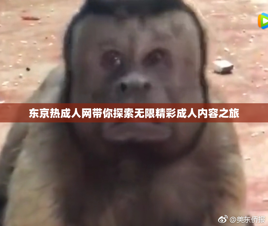 东京热成人网带你探索无限精彩成人内容之旅