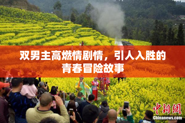 双男主高燃情剧情，引人入胜的青春冒险故事