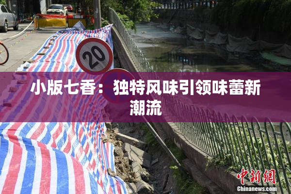 小版七香：独特风味引领味蕾新潮流