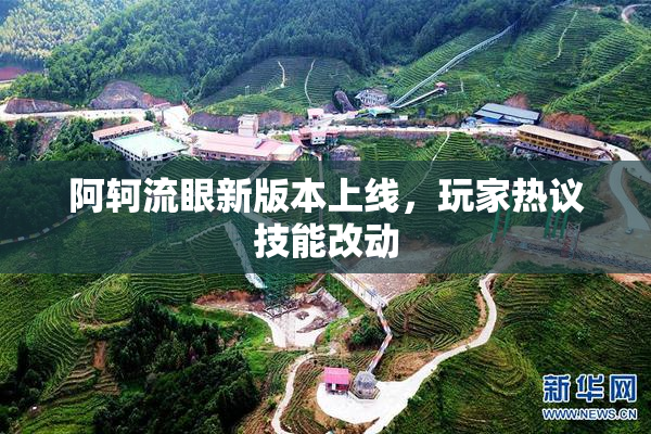 阿轲流眼新版本上线，玩家热议技能改动