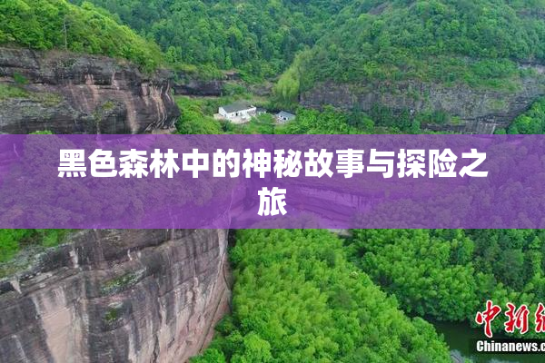 黑色森林中的神秘故事与探险之旅