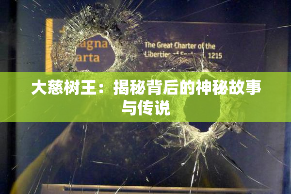 大慈树王：揭秘背后的神秘故事与传说