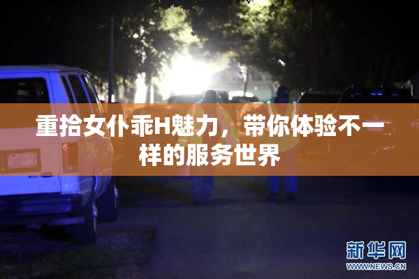 重拾女仆乖H魅力，带你体验不一样的服务世界