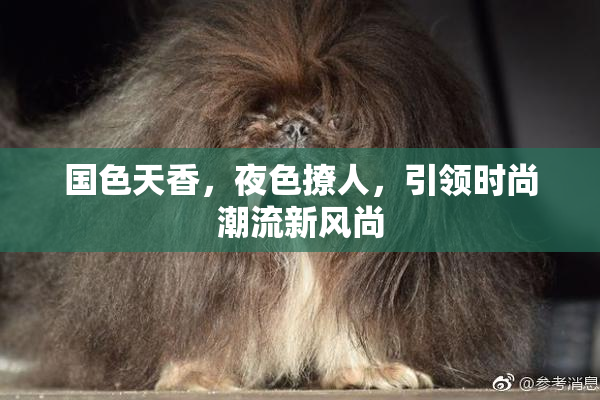国色天香，夜色撩人，引领时尚潮流新风尚