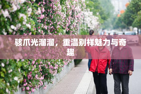 骇爪光溜溜，重温别样魅力与奇趣