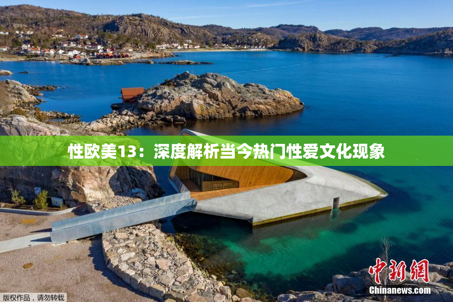 性欧美13：深度解析当今热门性爱文化现象