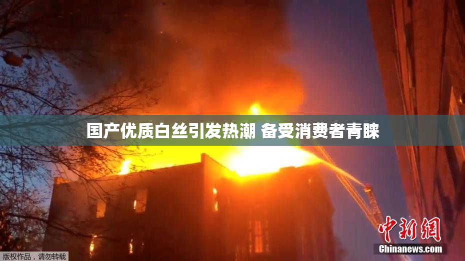 国产优质白丝引发热潮 备受消费者青睐