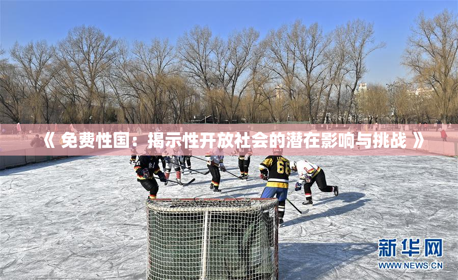 《 免费性国：揭示性开放社会的潜在影响与挑战 》