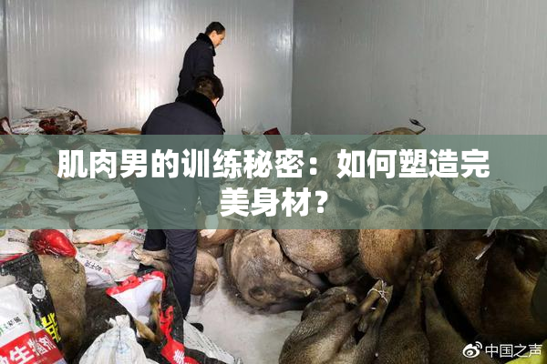 肌肉男的训练秘密：如何塑造完美身材？