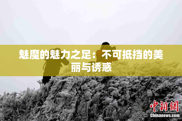 魅魔的魅力之足：不可抵挡的美丽与诱惑