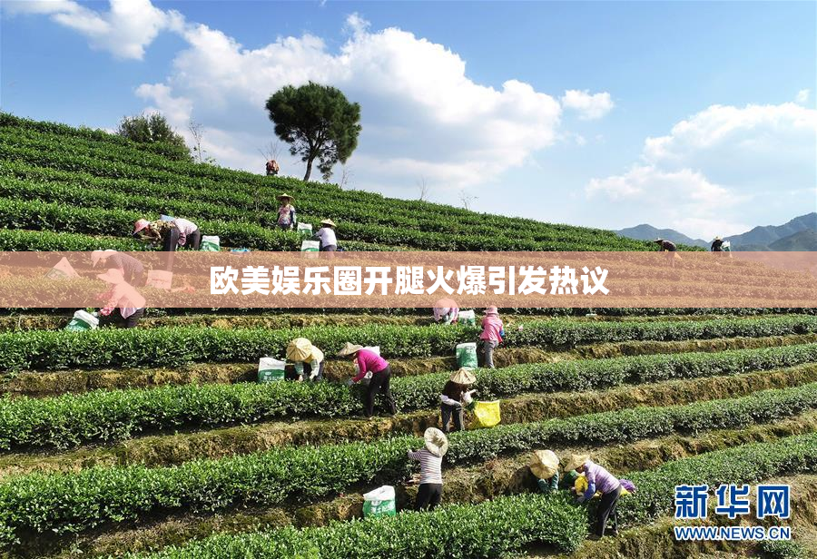 欧美娱乐圈开腿火爆引发热议