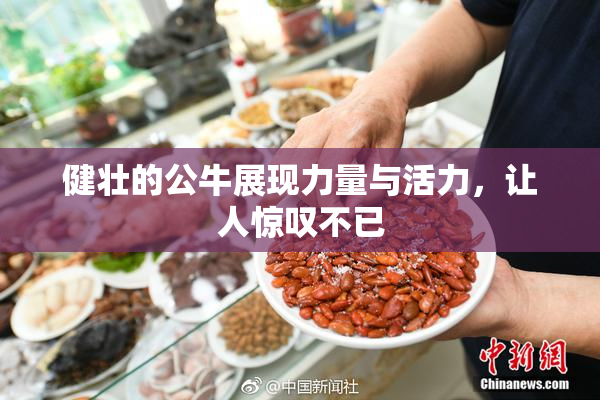 健壮的公牛展现力量与活力，让人惊叹不已