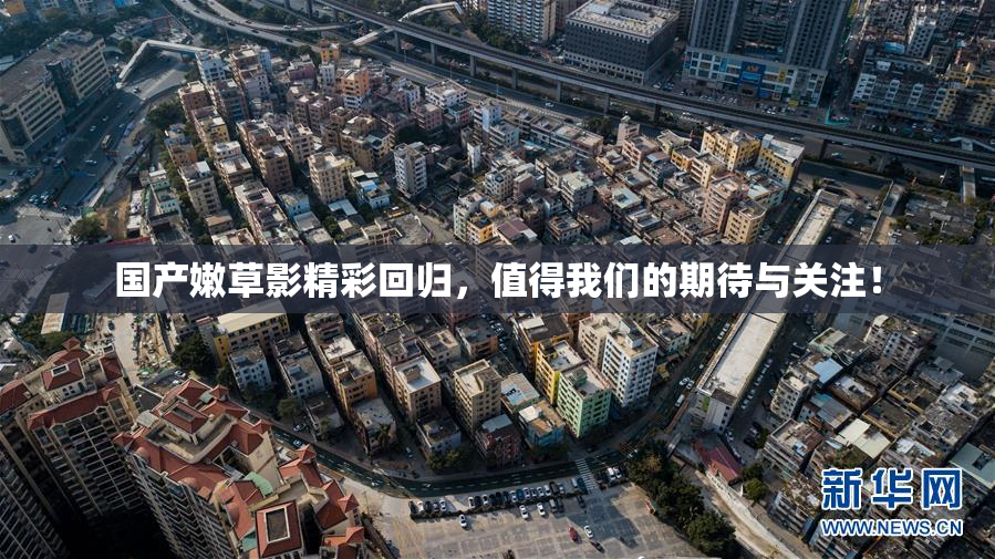 国产嫩草影精彩回归，值得我们的期待与关注！
