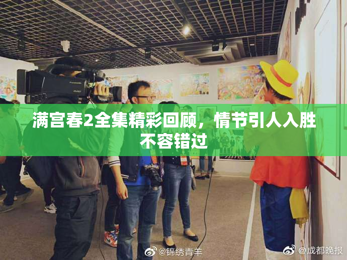 满宫春2全集精彩回顾，情节引人入胜不容错过