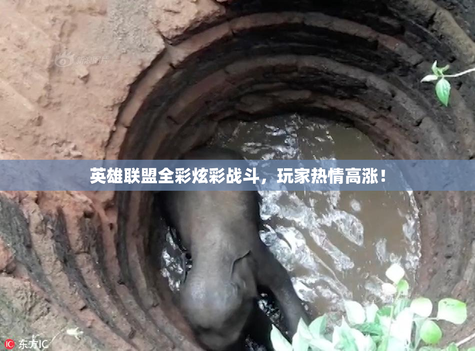 英雄联盟全彩炫彩战斗，玩家热情高涨！