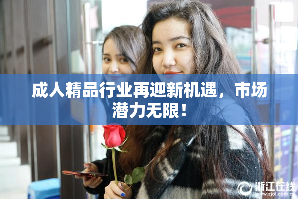 成人精品行业再迎新机遇，市场潜力无限！