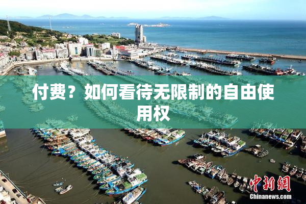 付费？如何看待无限制的自由使用权