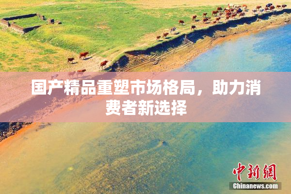 国产精品重塑市场格局，助力消费者新选择