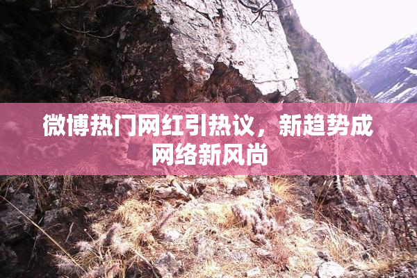 微博热门网红引热议，新趋势成网络新风尚