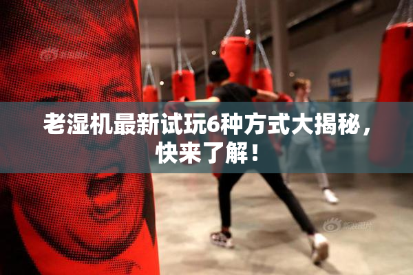 老湿机最新试玩6种方式大揭秘，快来了解！