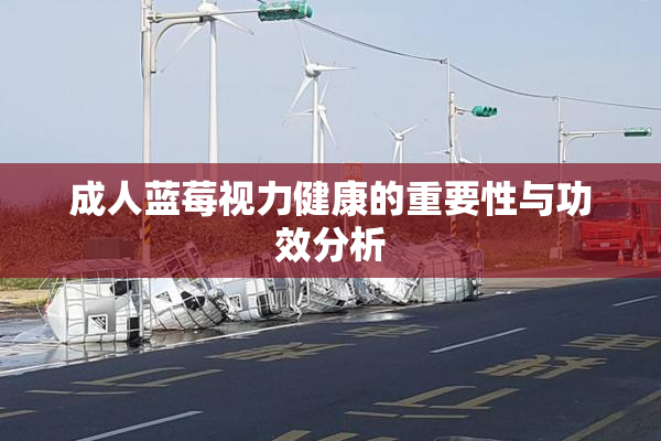 成人蓝莓视力健康的重要性与功效分析
