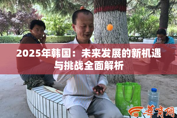 2025年韩国：未来发展的新机遇与挑战全面解析