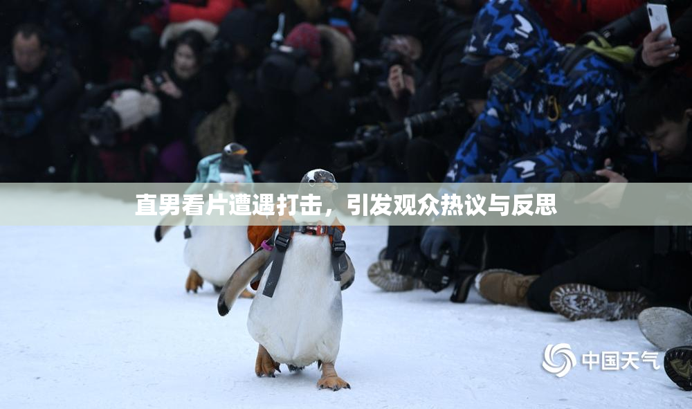 直男看片遭遇打击，引发观众热议与反思