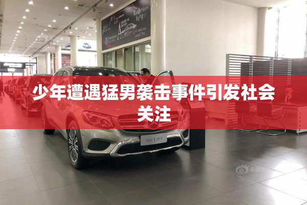 少年遭遇猛男袭击事件引发社会关注